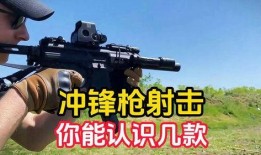 新冲锋枪爆料视频完整版,性能升级，未来战场利器揭秘